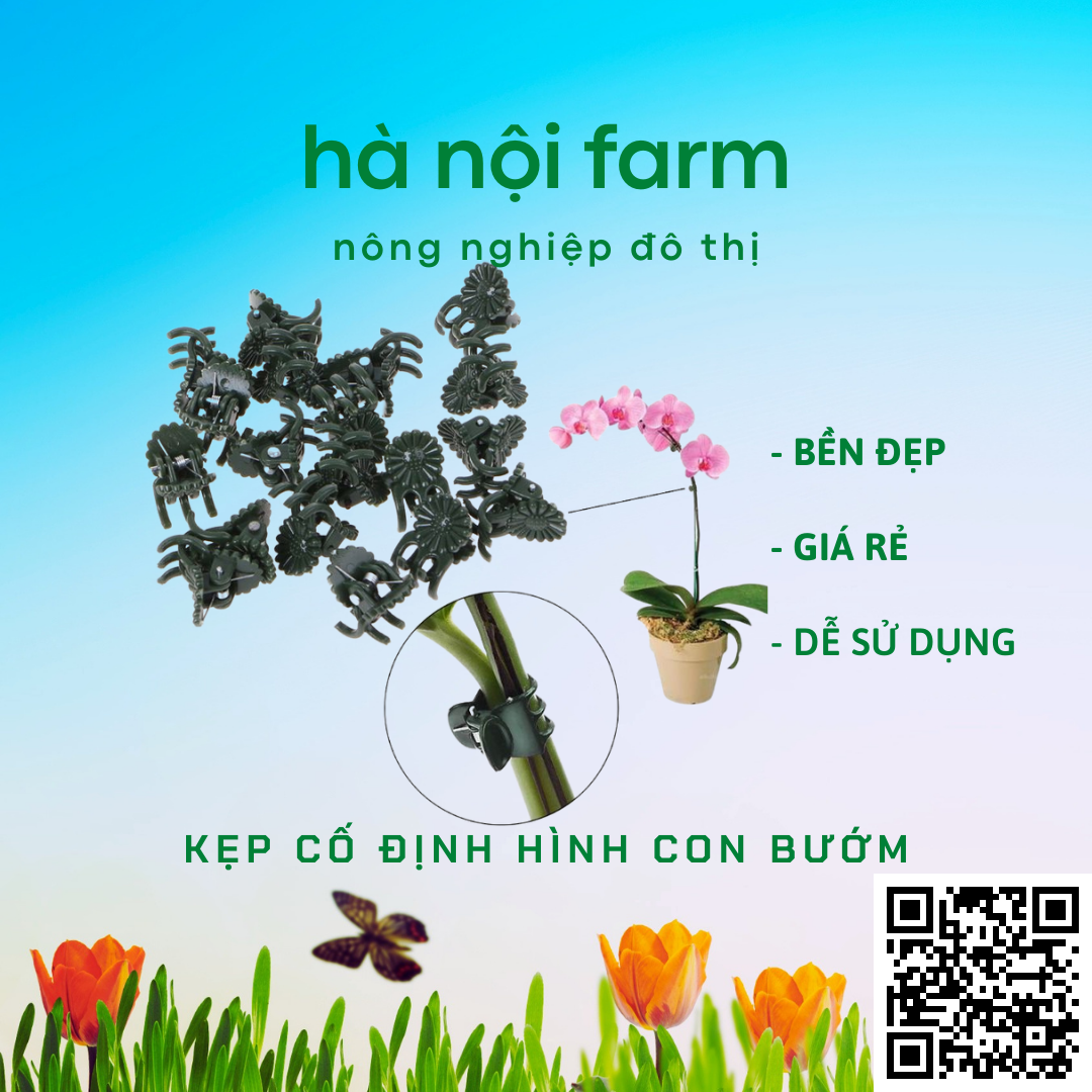 100 kẹp bướm cố định cho lan (loại nhỏ)