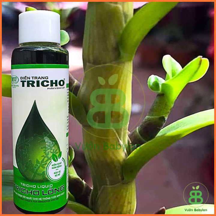 Nấm Đối Kháng Trichoderma Dạng Lỏng Trừ Nấm Bệnh Trên Cây, Cải Tạo Đất 100ML