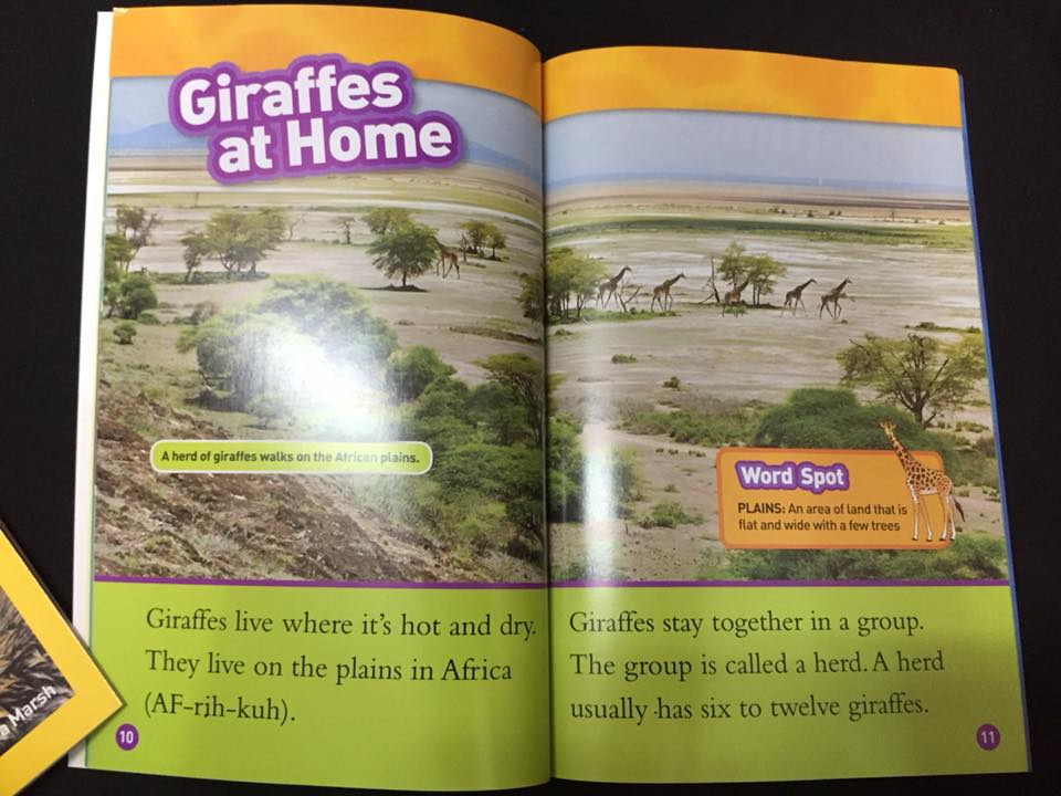 National Geographic  (25 cuốn) level 1