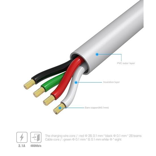 Cáp sạc nhanh Remax RC-134i cổng Lightning dài 1 mét (2.1A max)