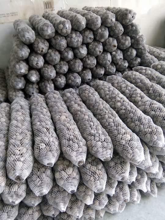 TÚI LƯỚI ĐỰNG PHÂN TAN CHẬM GÓI 150GRAM