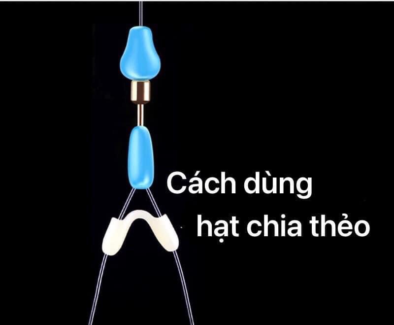 Hạt chia thẻo câu cá QL