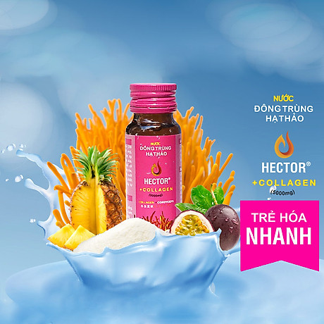 NƯỚC UỐNG ĐÔNG TRÙNG HẠ THẢO HECTOR COLLAGEN ( COMBO 1 HỘP 10 CHAI )