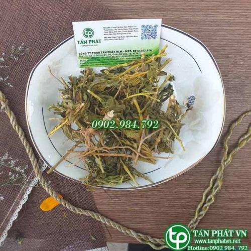 [Túi Lớn Loại 1KG] Cây dừa cạn sấy khô - hàng công ty chất lượng cao - chuyên dùng để pha trà hỗ trợ cải thiện sức khỏe người sử dụng