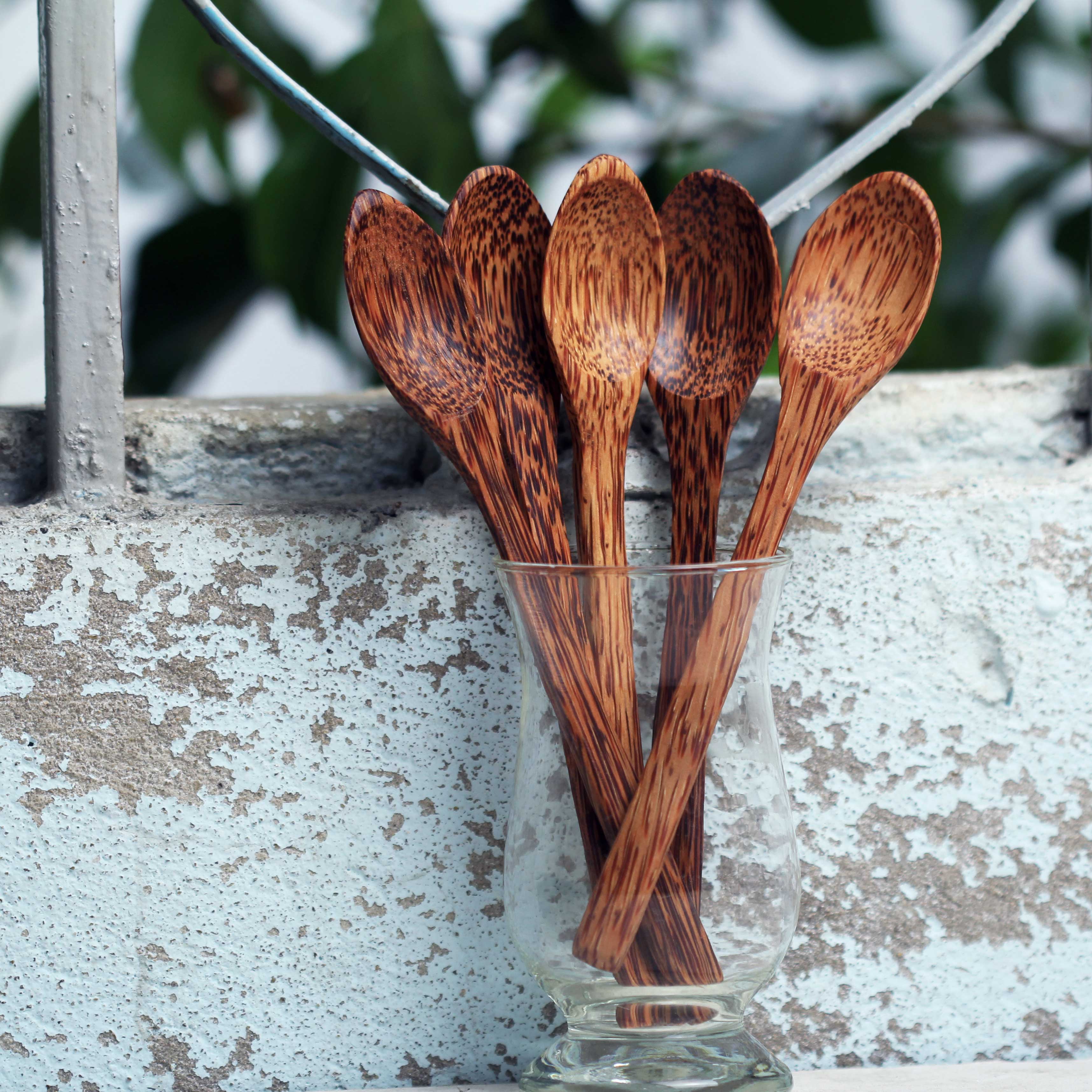 Wooden coconut spoon (size ~17x3 (cm))