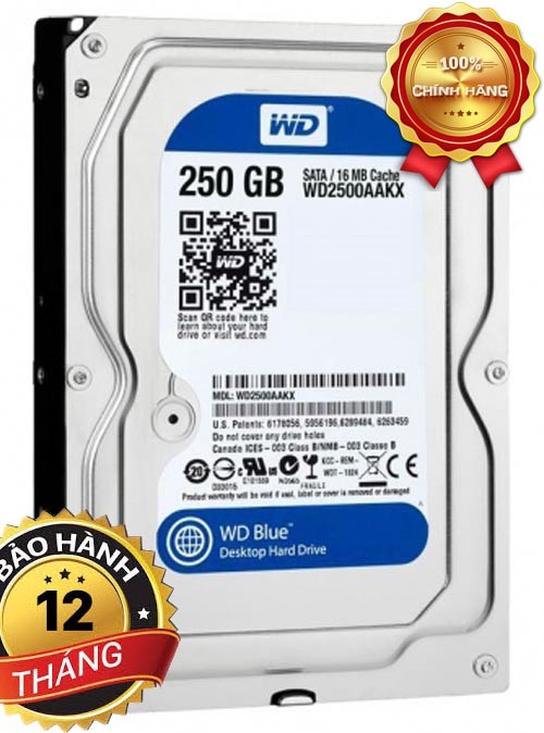 HDD 250G Western Blue – sata - HDD 250G