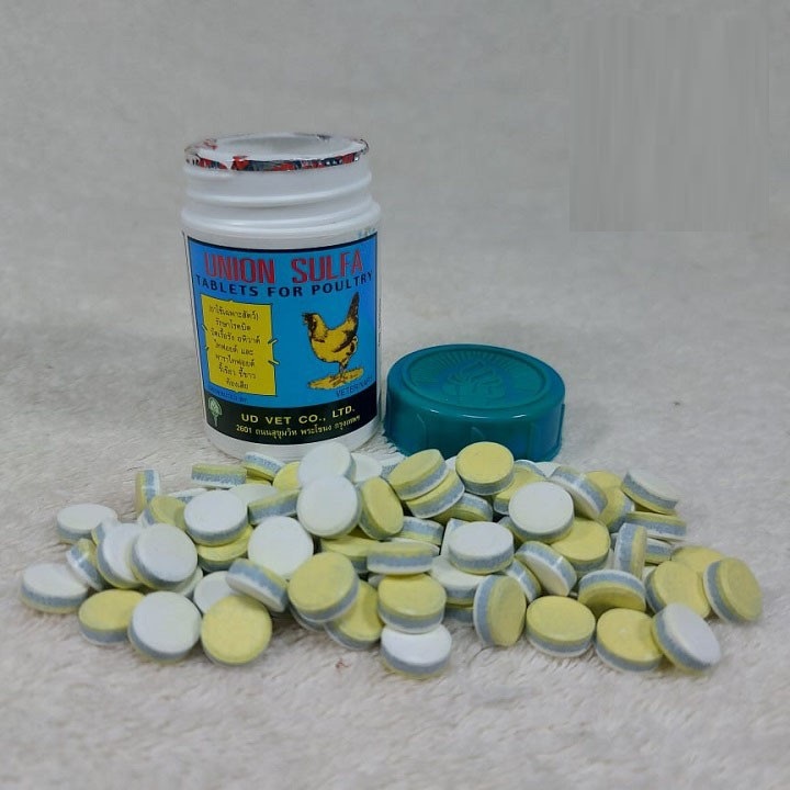Th.u.ố.c ch.ữ.a đi ỉa phân xanh phân trắng cho gà