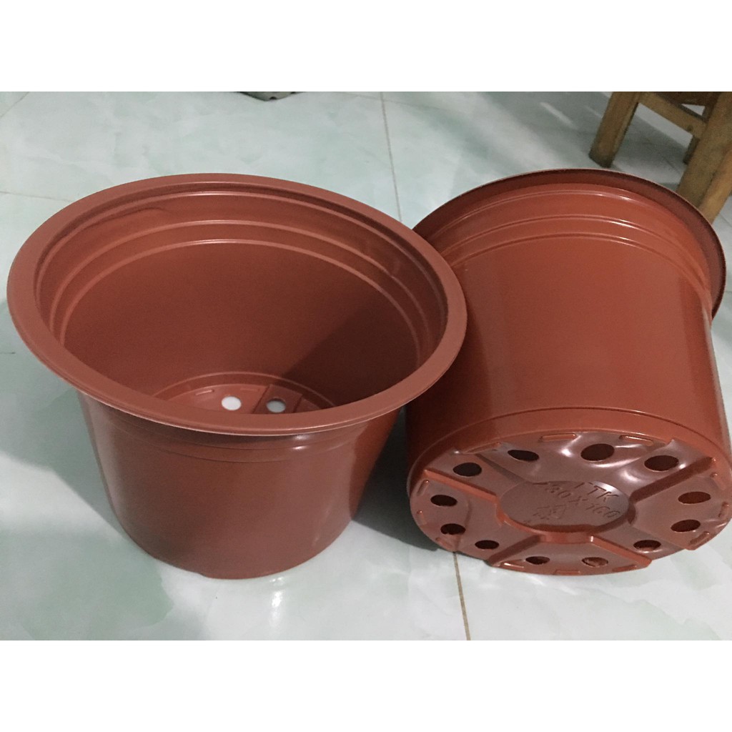 Combo 10 cái Chậu Nhựa Mỏng Trồng Cây - Ươm Cây (Có 4Size: 20-26)