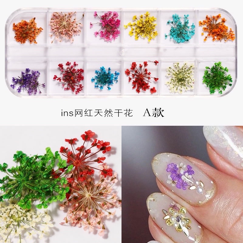 hoa khô nail làm nail dán móng tay