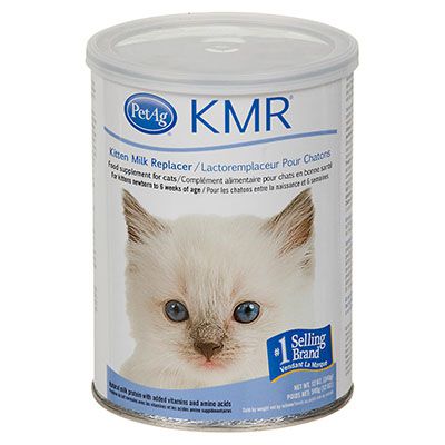 Sữa bột KMR dành riêng cho mèo con