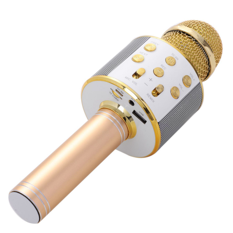 Micro Hát Karaoke Bluetooth Kèm Loa 858