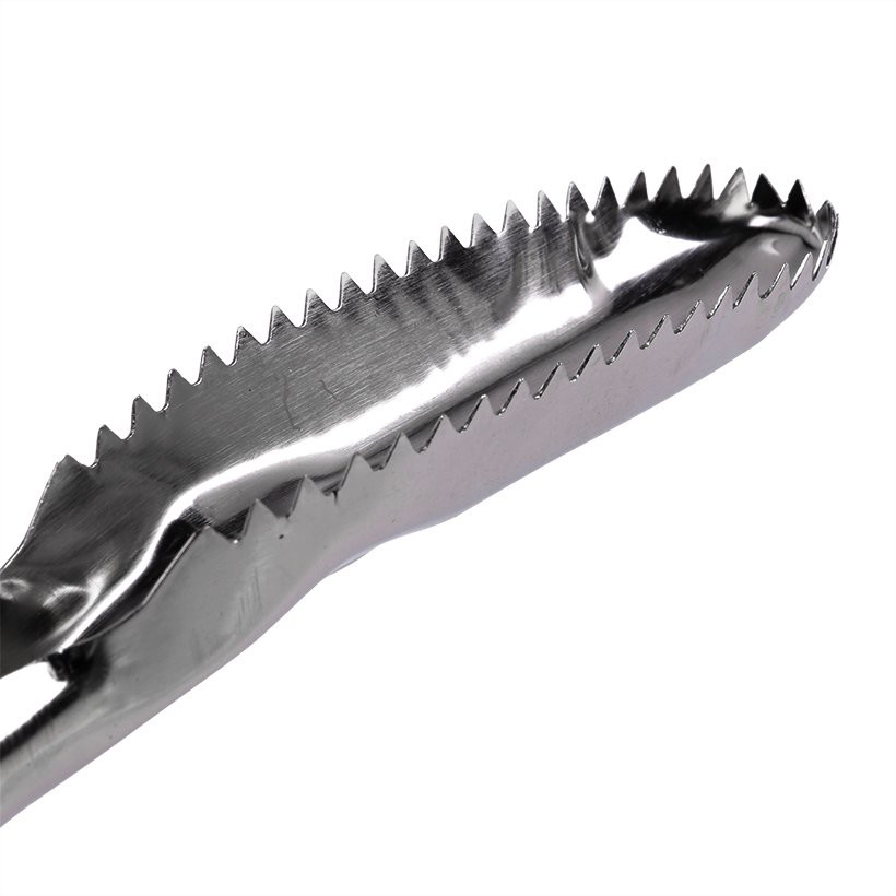 Dụng Cụ Đánh Vẩy Cá Inox