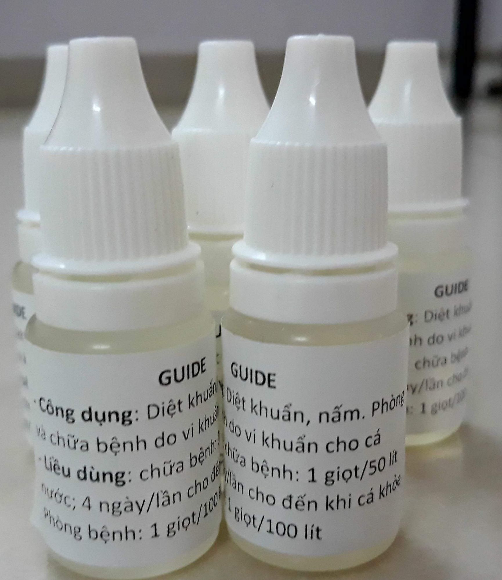 [HCM]Guide  dành cho cá