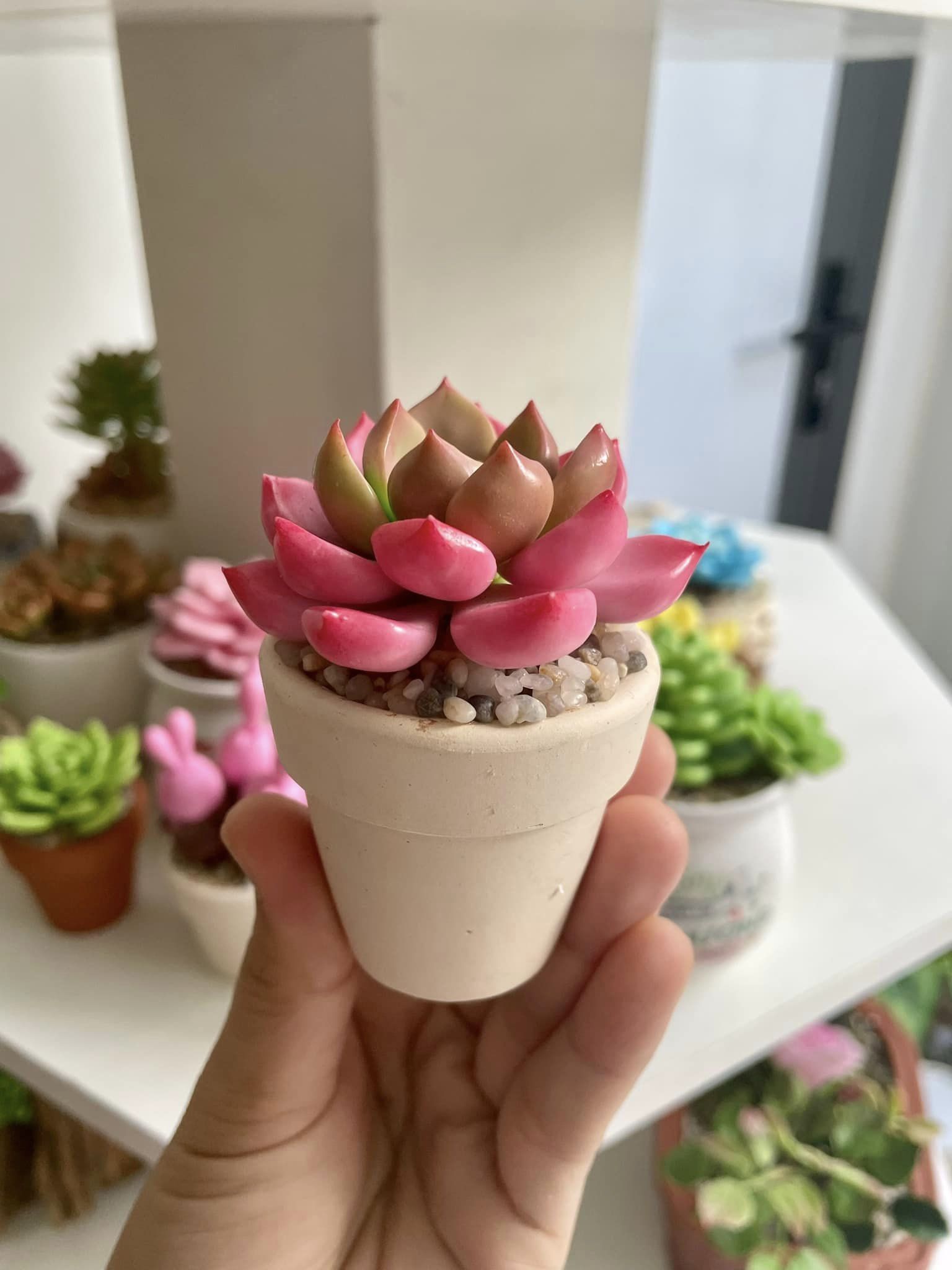 Chậu sen đá mini làm bằng đất sét đường kính 5cm