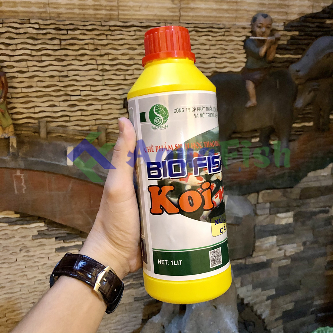 Bio Fish Koi Probiotics 1000ml (Probiotics Trusted for Koi Fish Ponds)