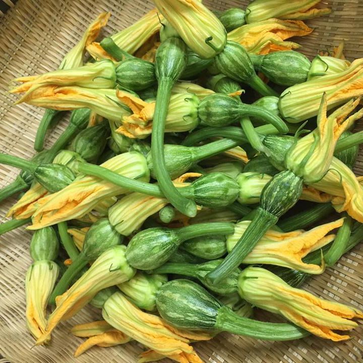 Hạt Giống Bí Nụ Ăn Non Giòn, Ngọt (0.5gr)