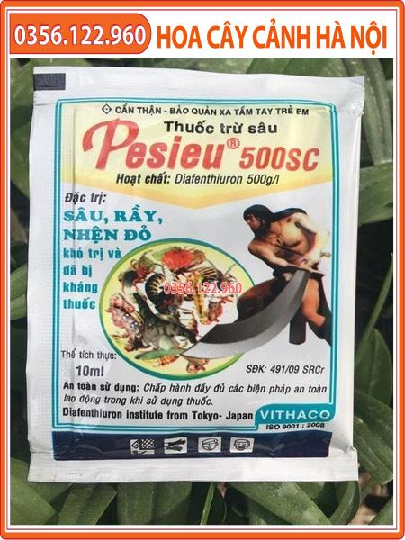 Hộp 10 gói pesieu 500sc