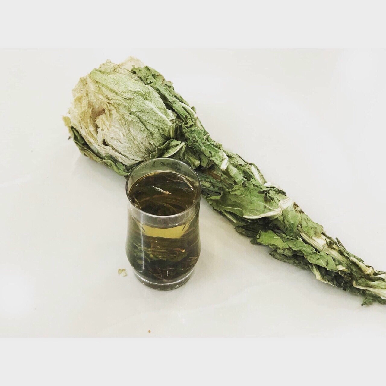 Thiên sơn tuyết liên