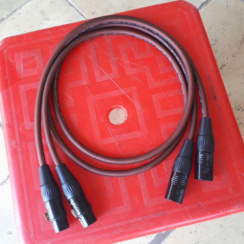 Cặp dây canon Đực ra Cái 1m dây italy