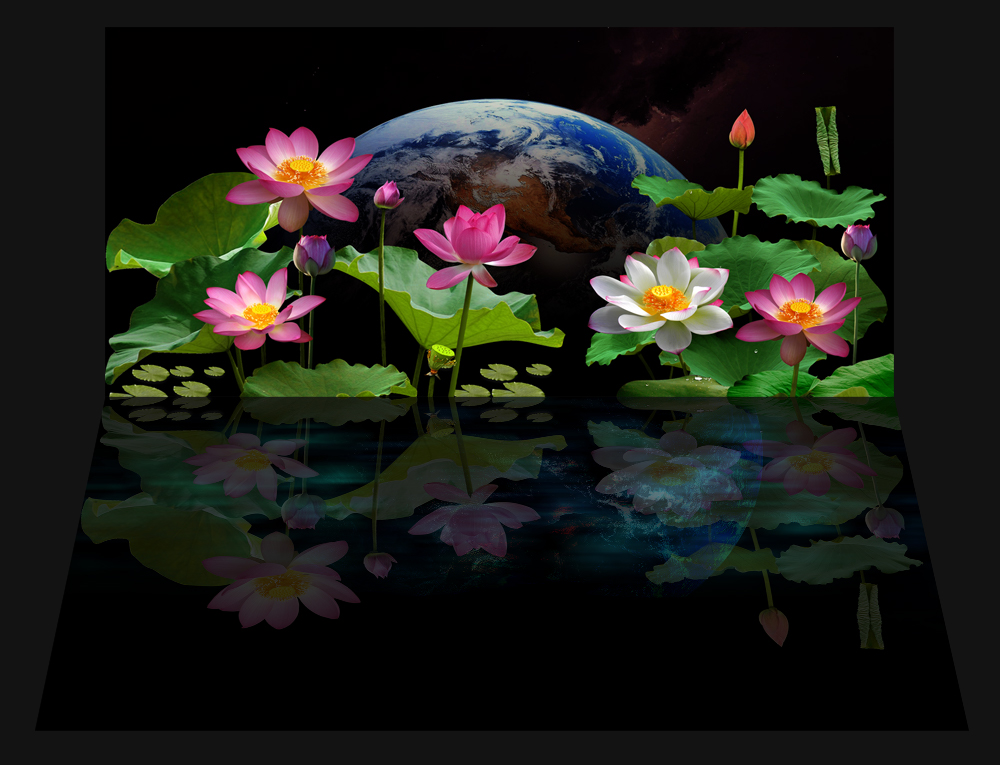 Tranh dán hồ cá HD Hoa sen đêm trăng Aquarium tank - 026 mặt lưng và mặt đáy