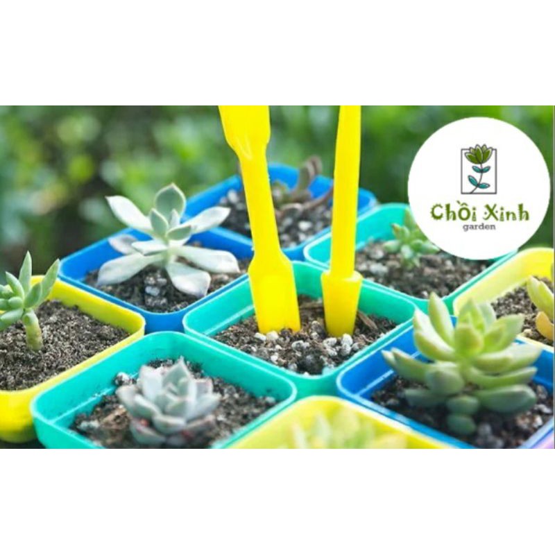 Bộ dụng cụ 2 món trồng cây sen đá, tiểu cảnh mini