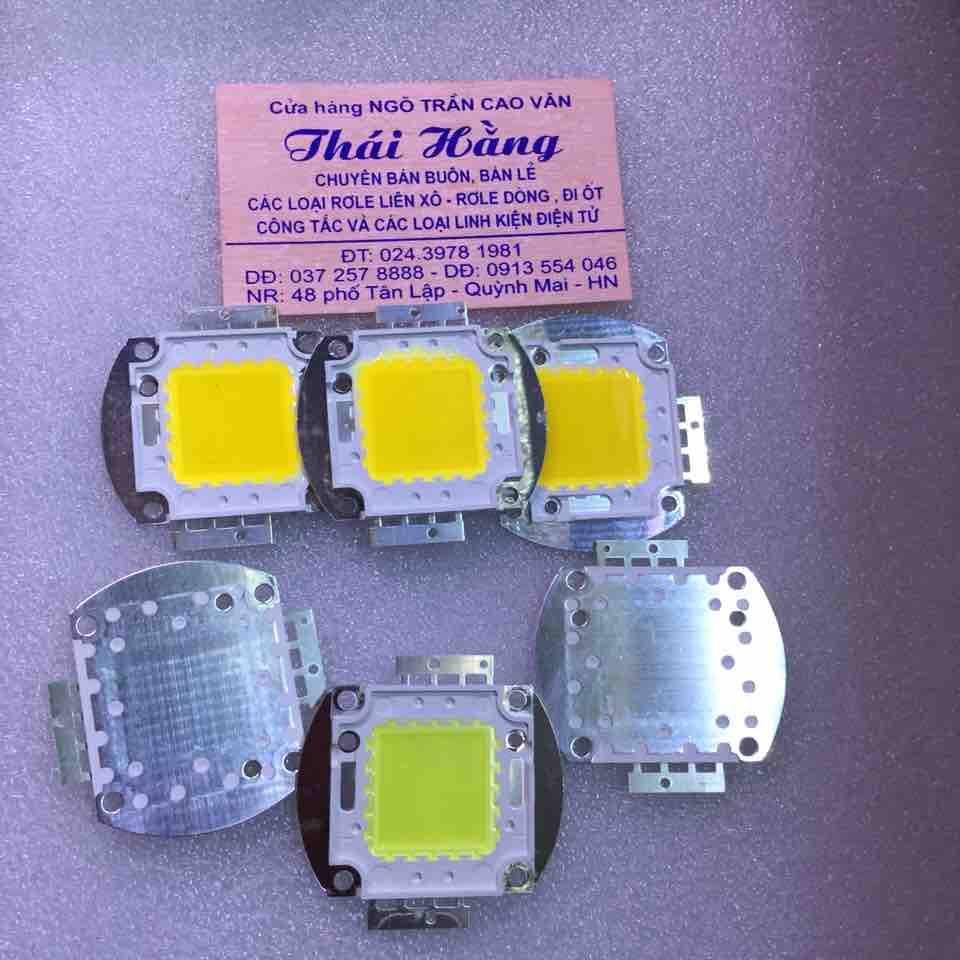 Led công suất 20 W /12 v màu trắng và vàng giá cho 2 chiếc