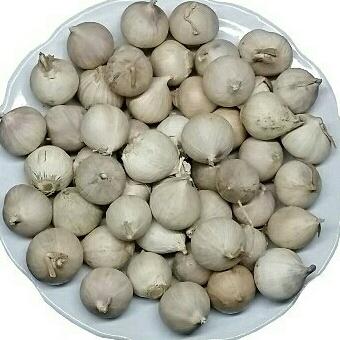 1kg tỏi cô đơn loại đặc biệt