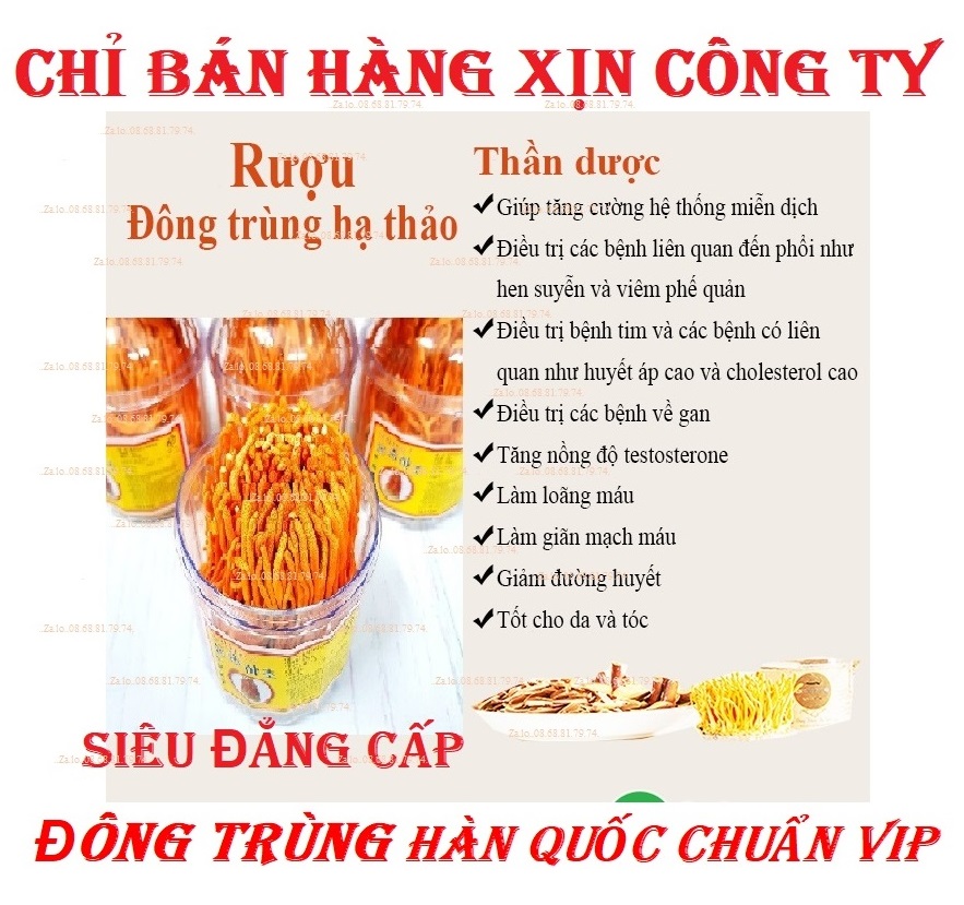 .3HŨ ĐÔNG TRÙNG-HÀN QUÔC-THANH LỌC-PHỤC HỒI CƠ THỂ-TĂNG MIỄN DỊCH-SINH LÝ-ĐỀ KHÁNG-CHỐNG LÃO HÓA-TIÊU HÓA-GIẢM CHOLESTEROL DTHQ45 1.3