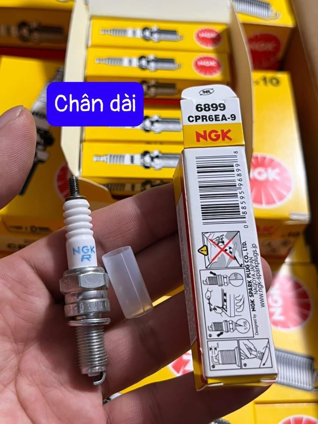 (RẺ VÔ ĐỊCH) Bugi NGK Xe Dream Wave CHÂN NGẮN - CHÂN DÀI