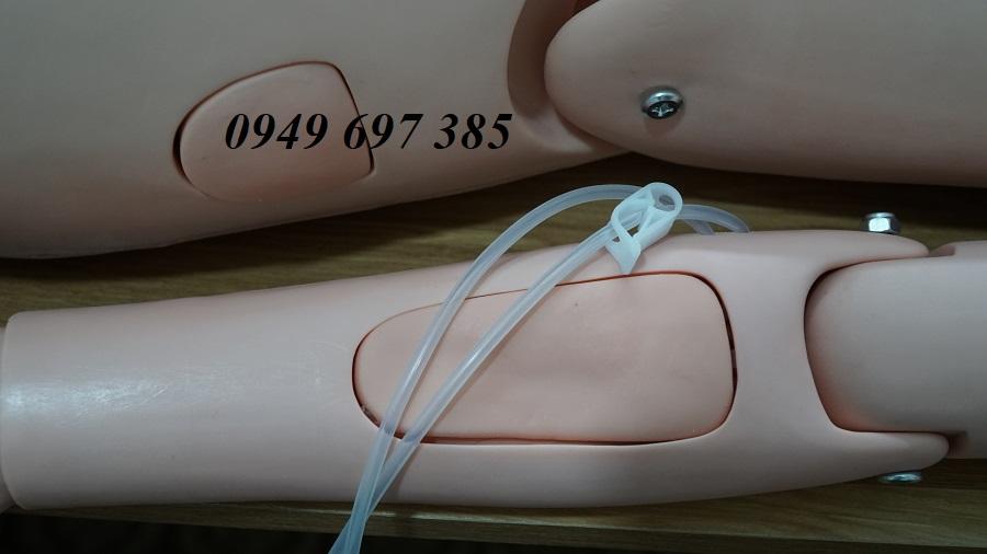 Mô hình thực hành điều dưỡng chăm sóc bệnh nhân