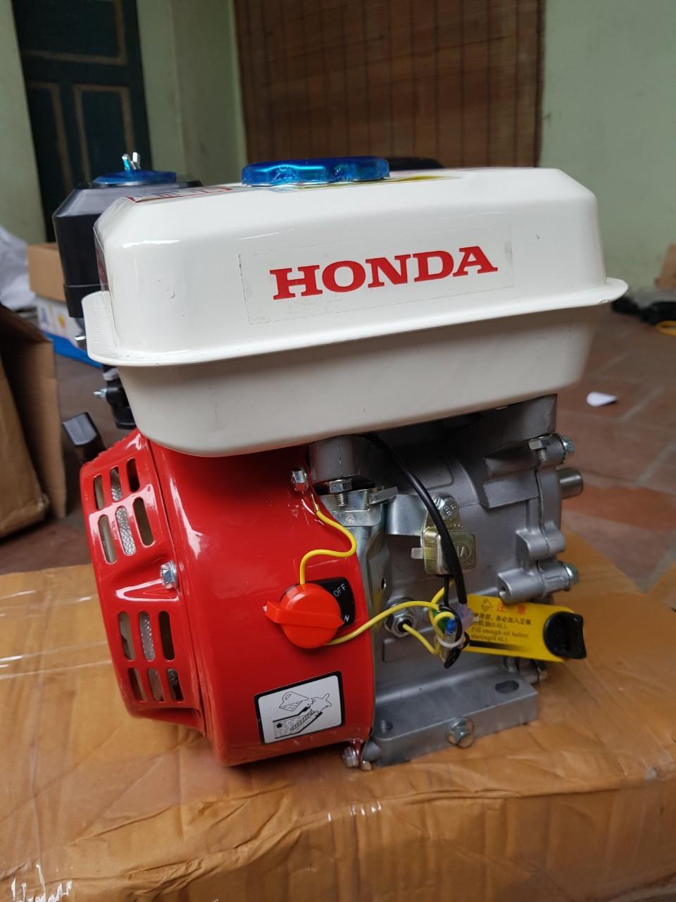 Động cơ xăng GX200