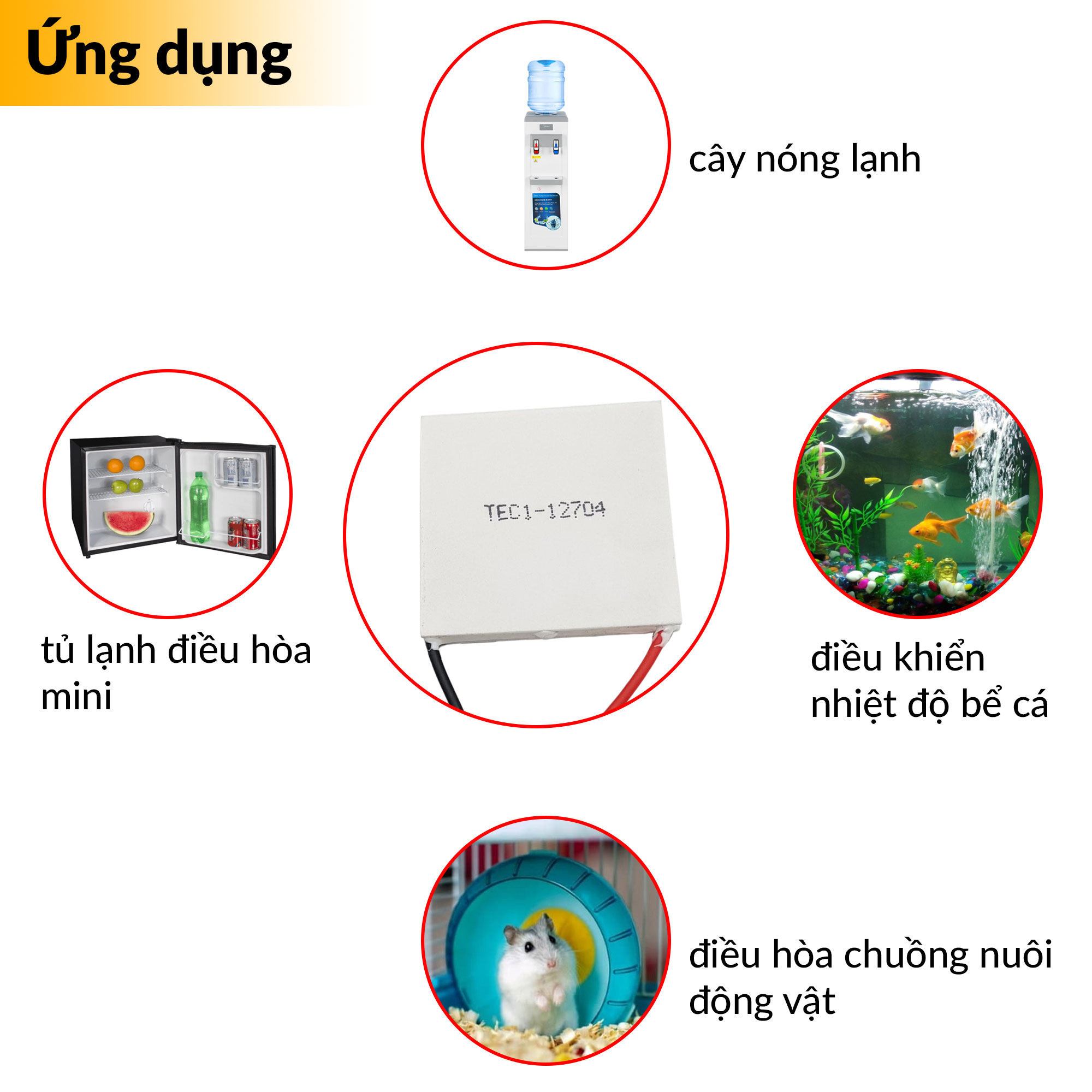Sò Nóng Lạnh TEC1-12704