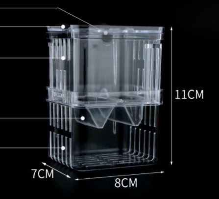Lồng đẻ 7 màu Mica - Bể cách ly cho cá sinh sản