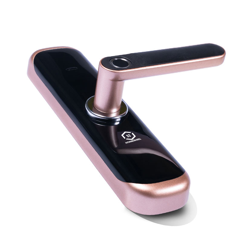 [HCM]Khóa vân tay Smart Lockdoor Homesheel L1