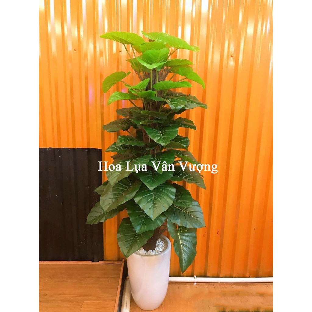 Cây Giả 🌺 Cây Trầu Bà 63 Lá Cao 1,6m