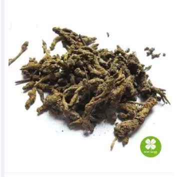 Hoàng liên sấy khô 100gram -EG081