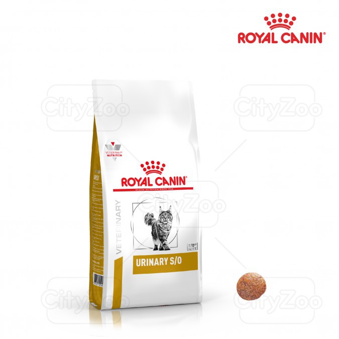 Royal canin hạt urinary s/o free ship dành cho mèo mắc tiết niệu