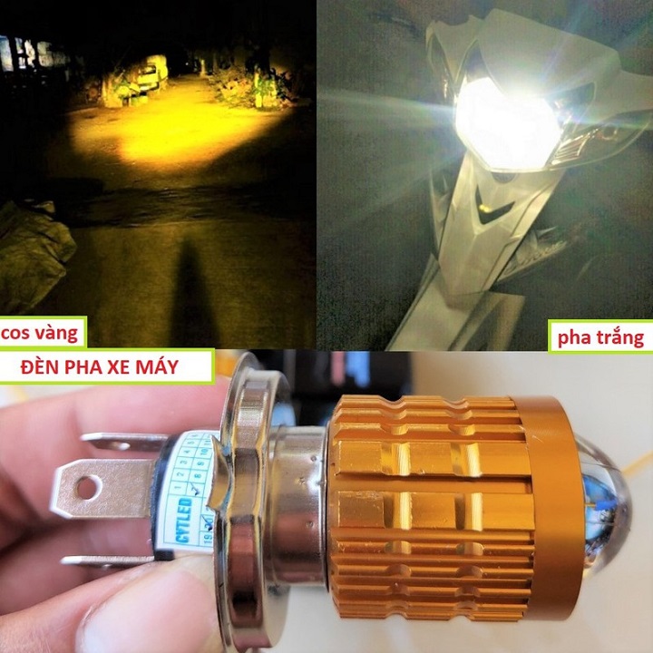 bóng đèn pha bi cầu pha trắng cos vàng chân H4 siêu sáng