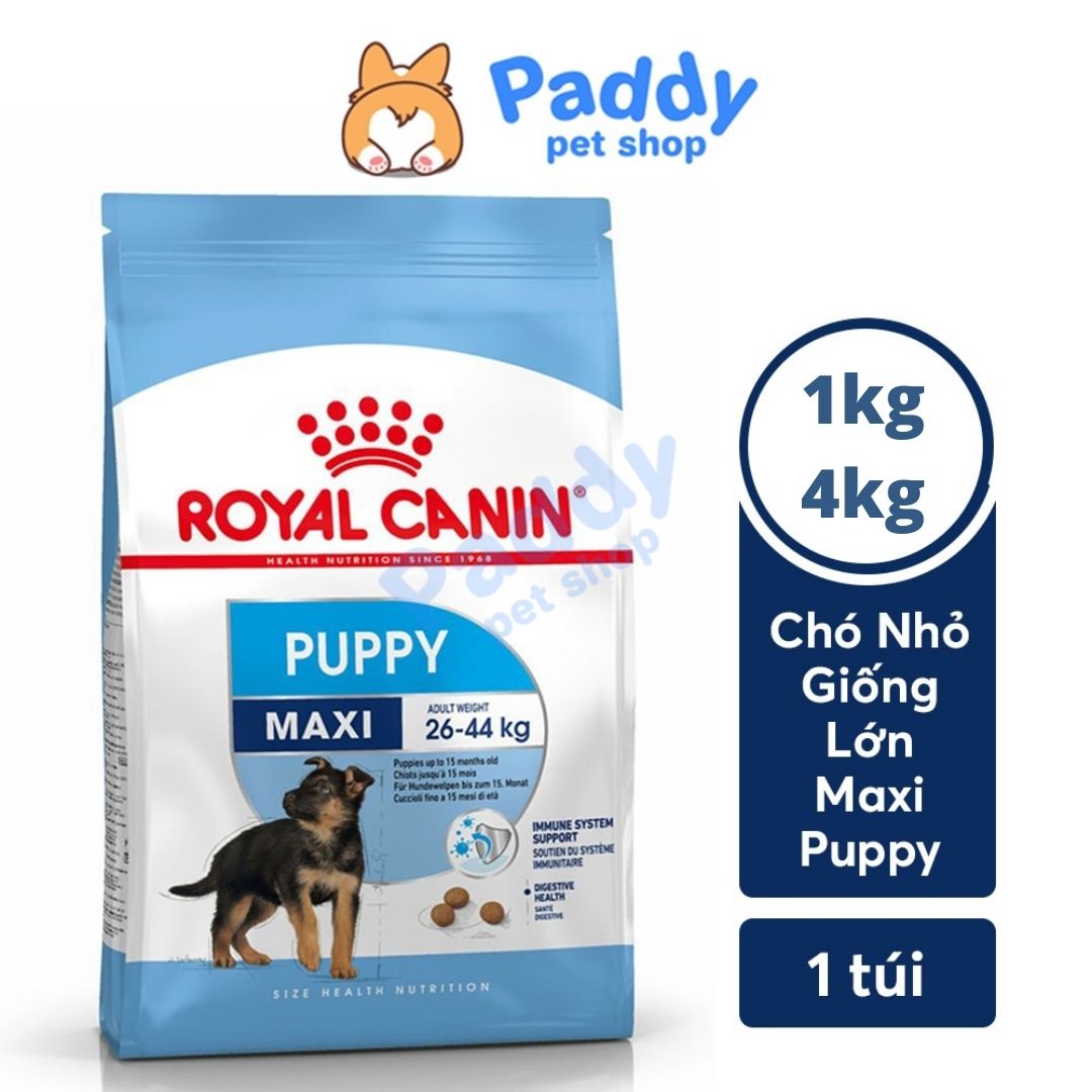 Hạt Cho Chó Con Giống Lớn Royal Canin Maxi Puppy