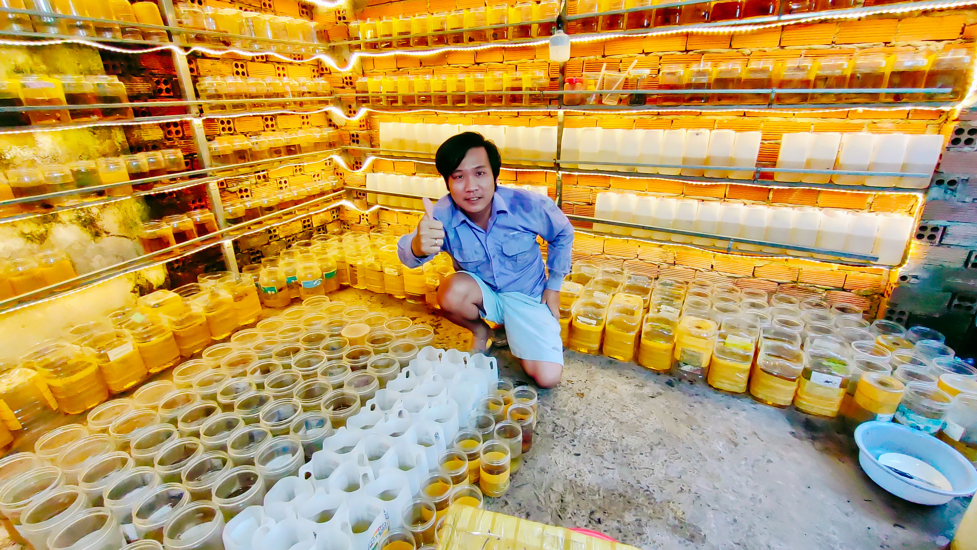 Cám cá betta phước phụ hồ