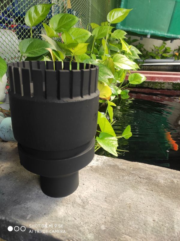 Hút mặt hồ koi