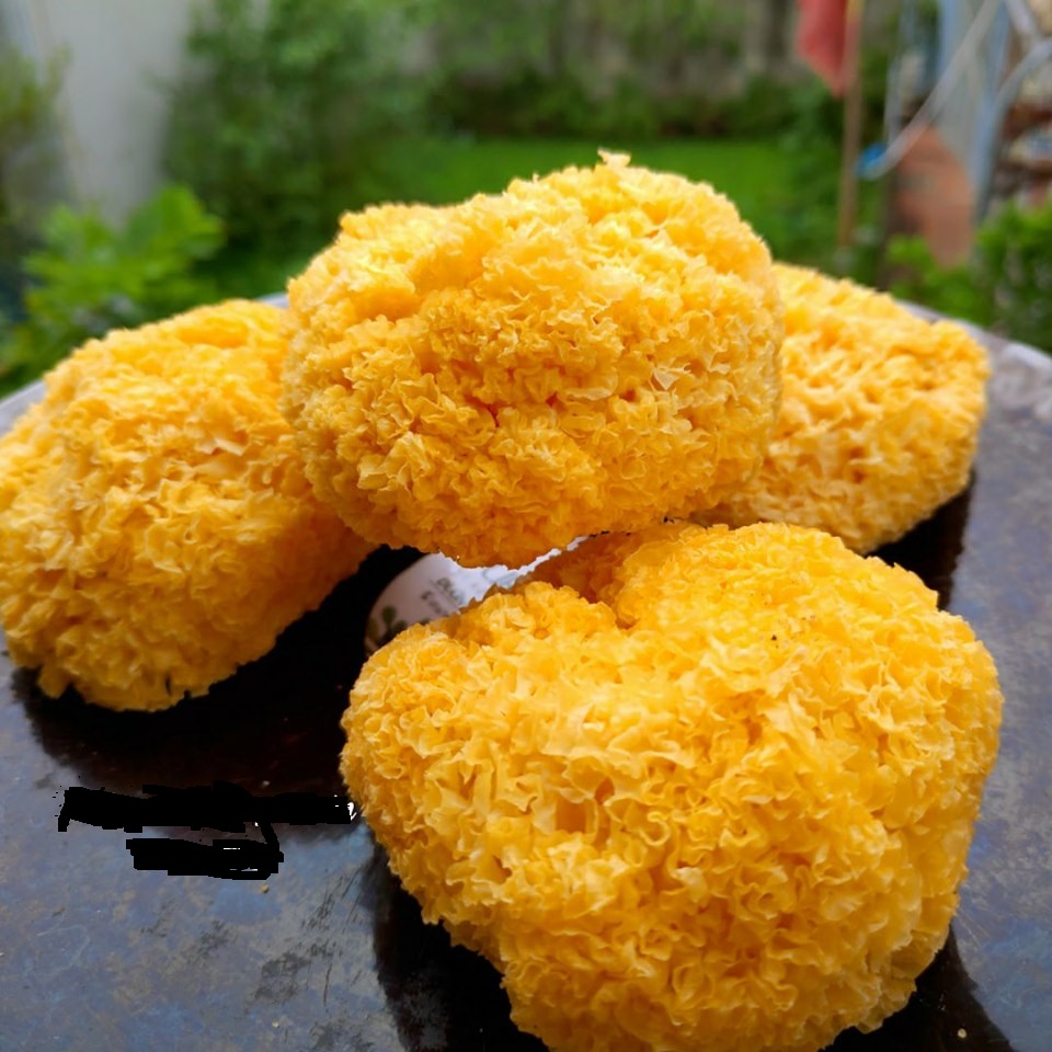 Nấm tuyết không tẩy ( ngân nhĩ ) 200g