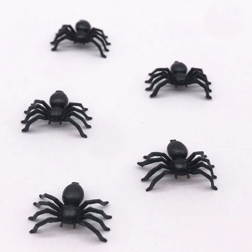 Bộ 5 con nhện mini màu đen nhện giả nhện đồ chơi