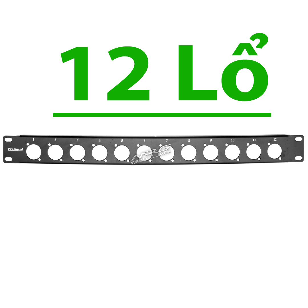 Thanh gắn jack loa 6 lổ 8 lổ 12 lổ, gắn tủ âm thanh, giá 1 thanh.