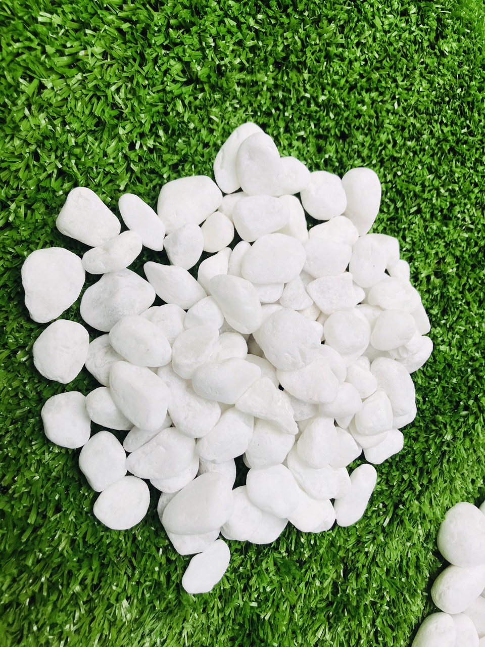 3kg sỏi trắng bể cá