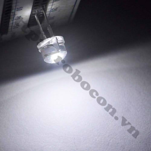 Set 5 led lùn 8mm trắng