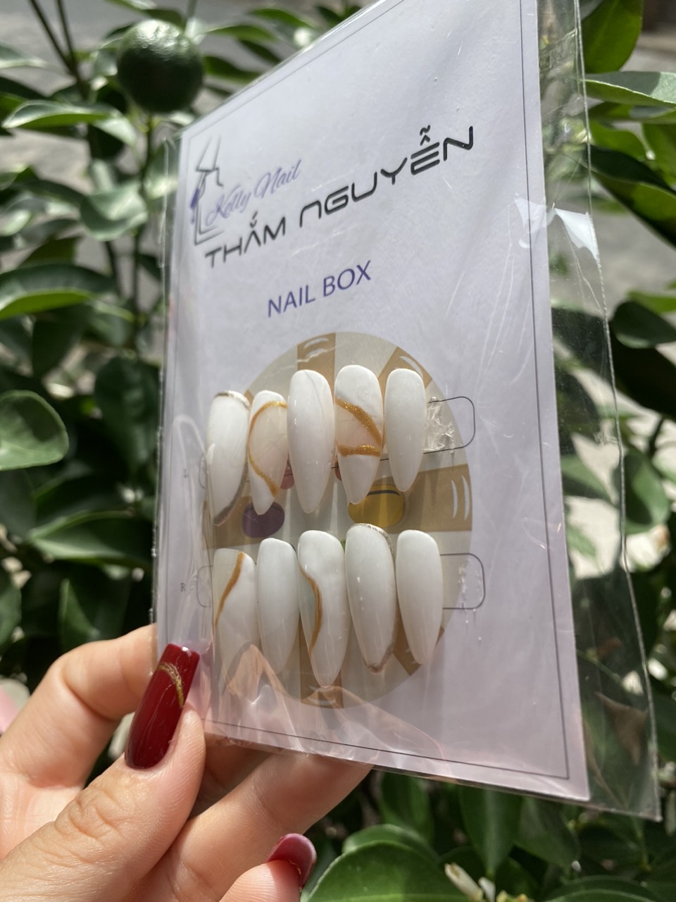 NAIL BOX DÒNG NAIL THIẾT KẾ
