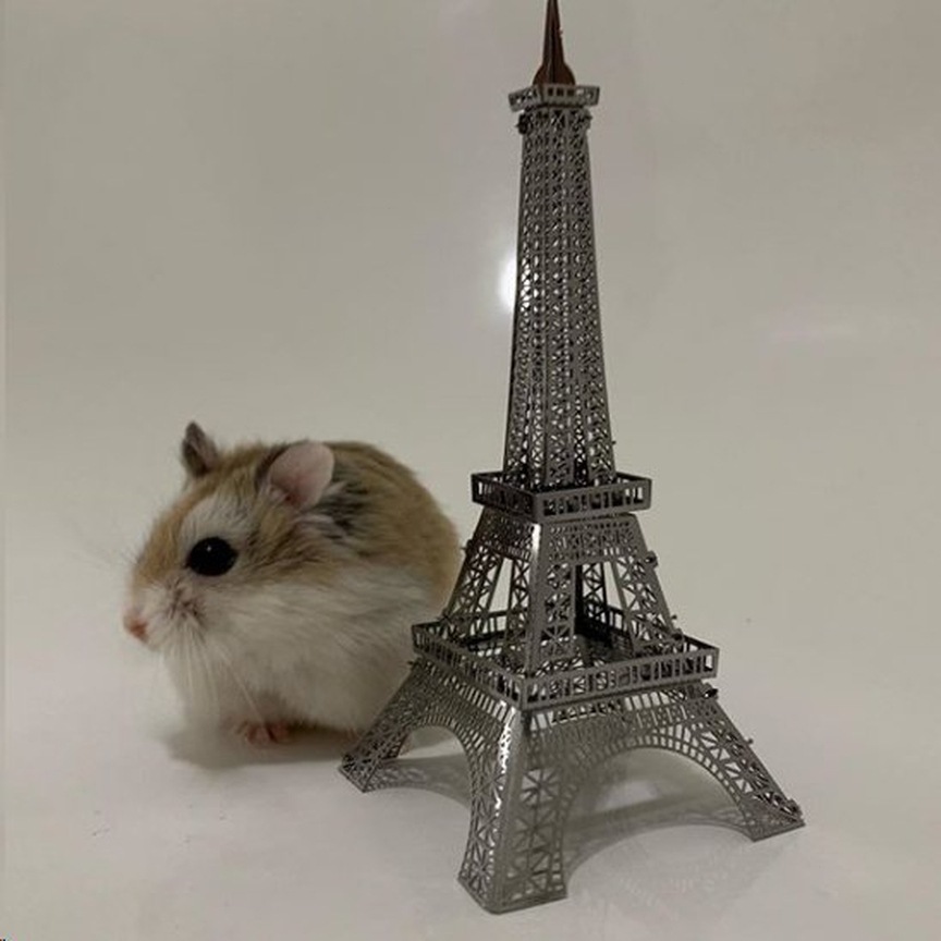 Mô Hình 3D Kim Loại Lắp Ráp Tháp Eiffel [Chưa Lắp]