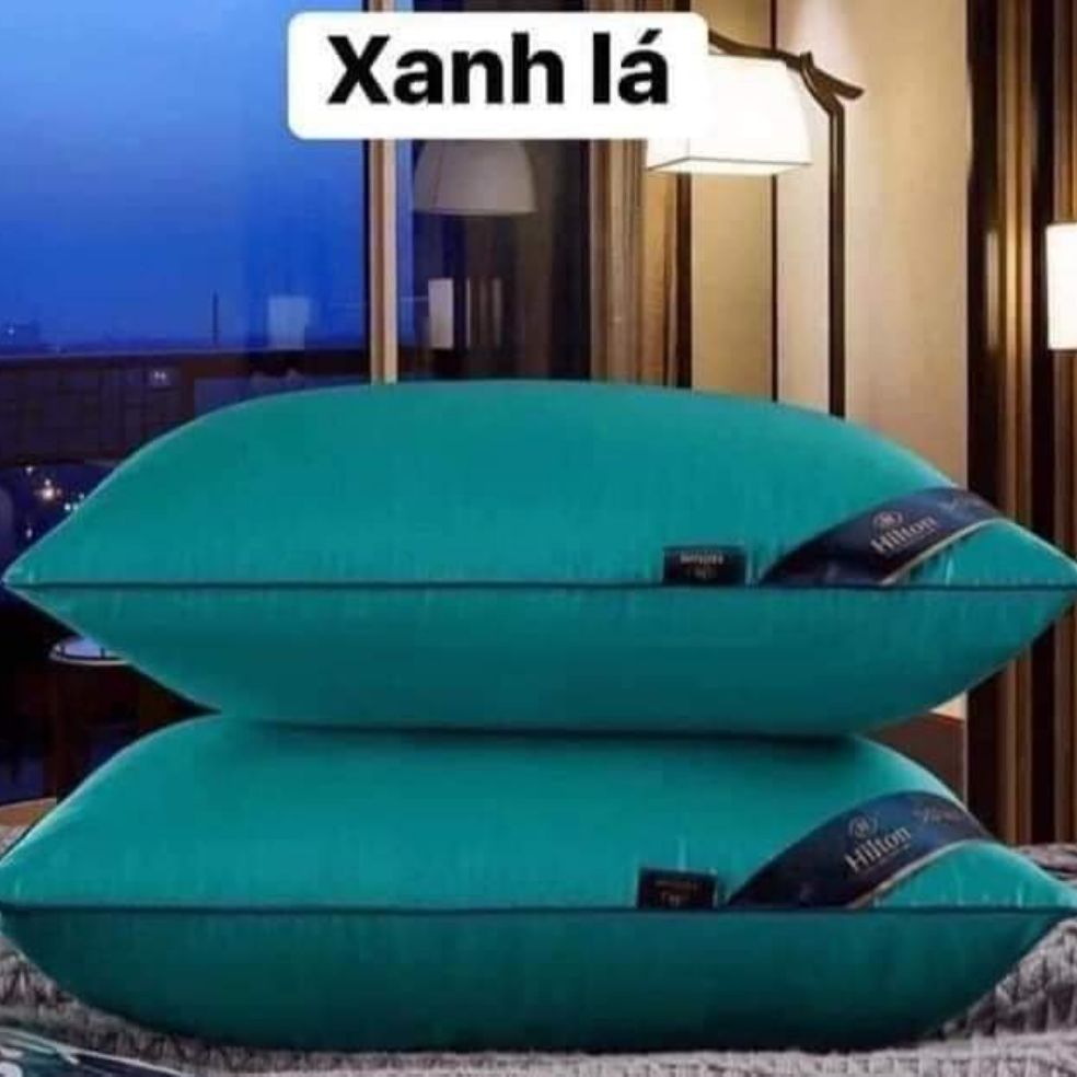 SET 2 GỐI HILTON