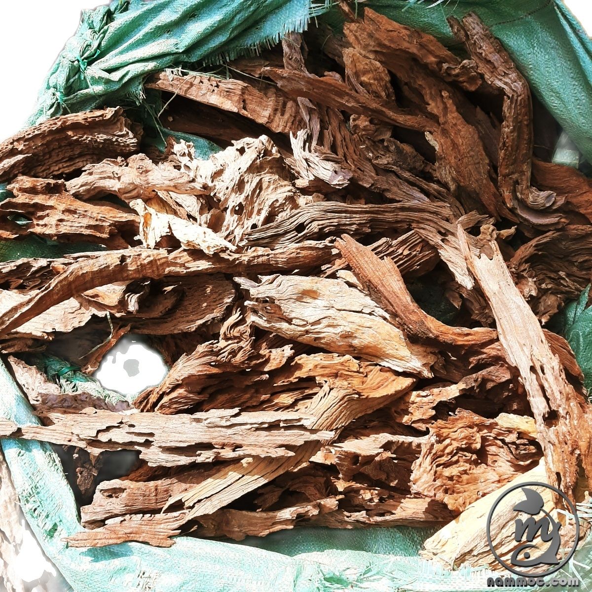 Lũa săn đá - lũa san đá miếng | chuyên dùng cho bể cá thủy sinh - vân lũa cực đẹp, set bể cực đã